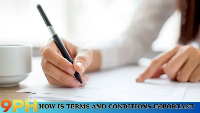 How is Terms and Conditions important