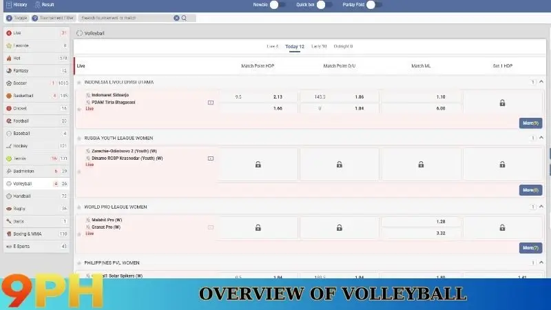 Overview of Volleyball